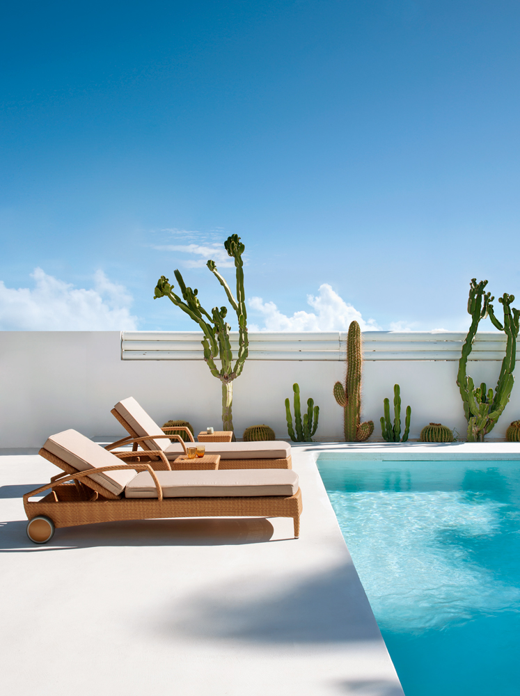 BREDA TUMBONA - IMAGEN 1