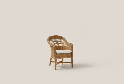 ALGA DINING ARMCHAIR 